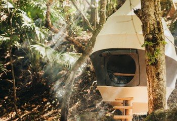 capsule de pique-nique