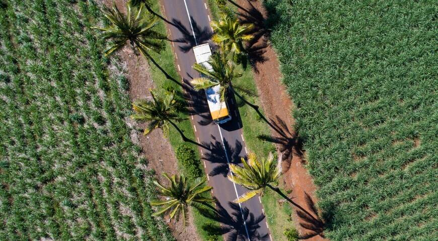  bel ombre reserve, bay2bay tour, ile maurice 