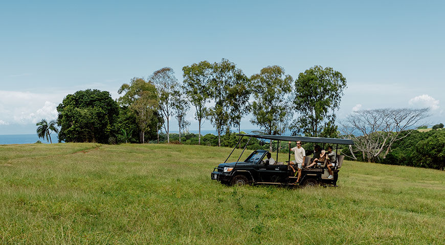 4x4 Safari in Mauritius: A Family and Friends Adventure Through Bel Ombre