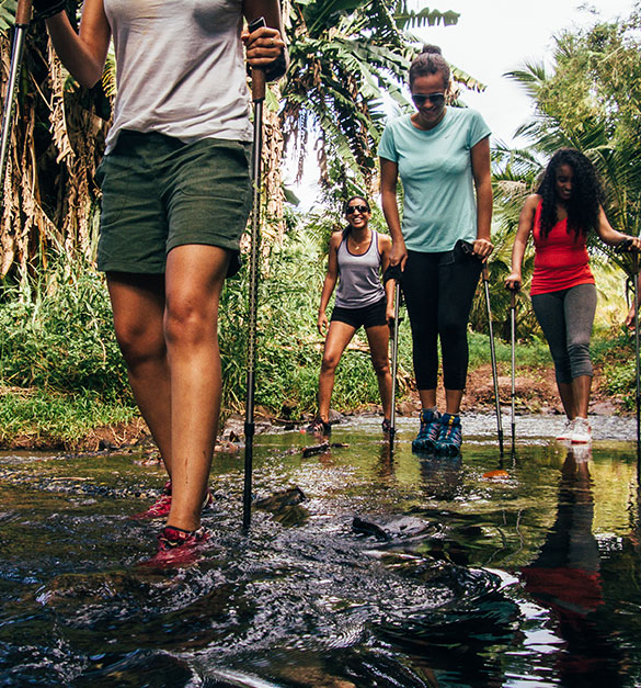 Trekking at Bel Ombre Nature Reserve: A Guided Nature Experience in Mauritius
