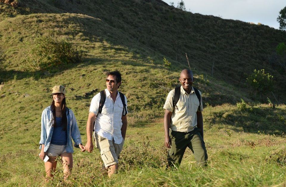 Trekking at Bel Ombre Nature Reserve: A Guided Nature Experience in Mauritius